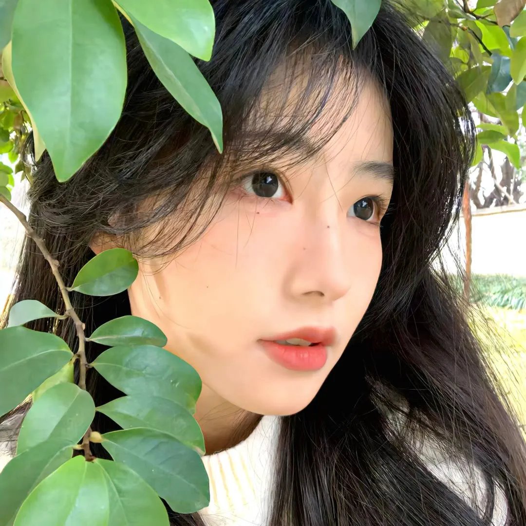 毒如蛇羯